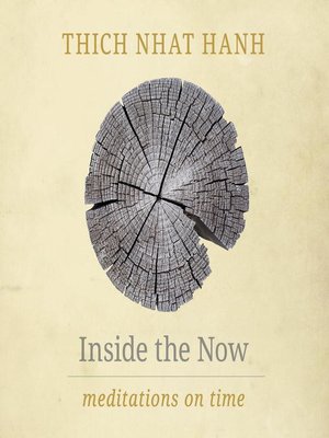 cover image of Inside the Now